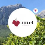 Iolei WInery