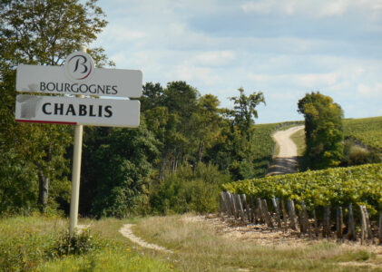 Chablis, il vino bianco che incanta il mondo.