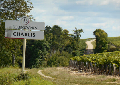 Chablis, il vino bianco che incanta il mondo
