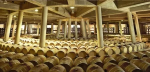 Bodega Vina Real