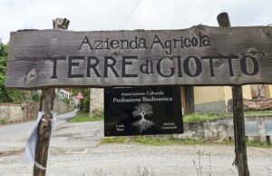 Terre di Giotto