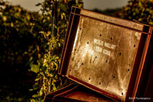 Champagne Nicolas Maillart