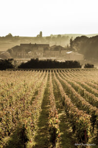 Champagne Nicolas Maillart