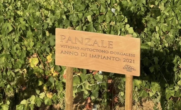 Panzale Cantina Berritta