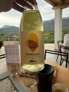 Panzale Cantina Berritta