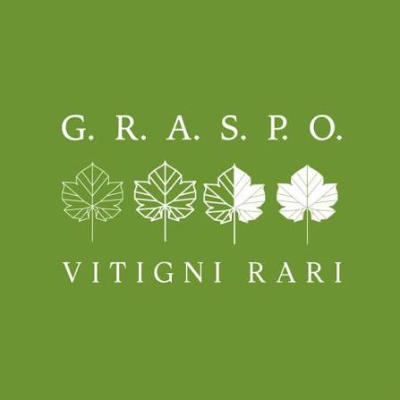 Graspo Mister Wine